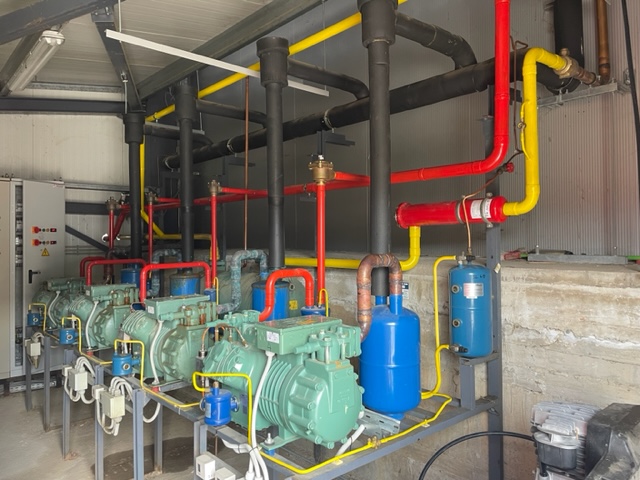 ορεινά κισσάβου αγιά